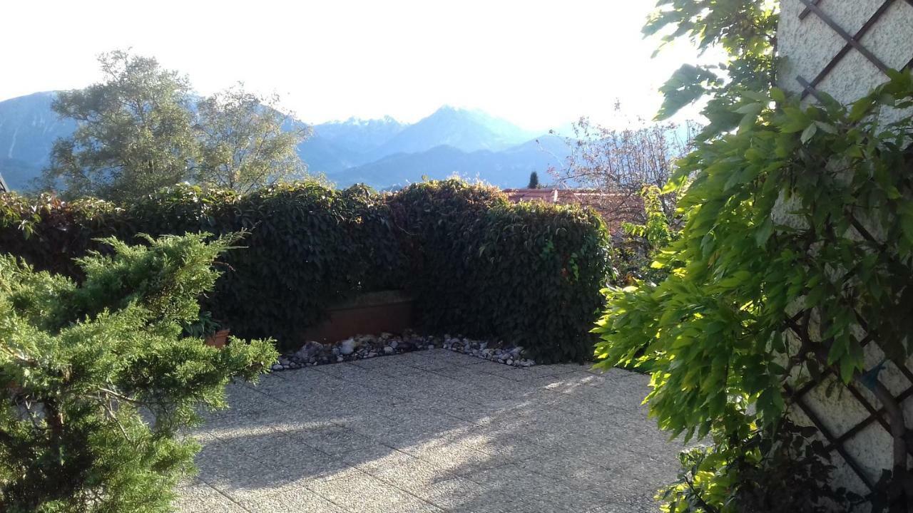 Haus Ambi Apartment